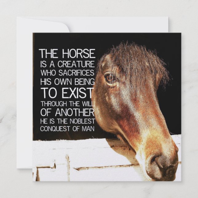 Invitation NOBLE STALLION 5.25 x 5.25 card (Devant)