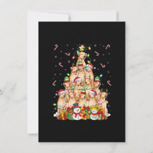 Invitation Noël de Noël Lumière Père Noël Golden Retriever Ch