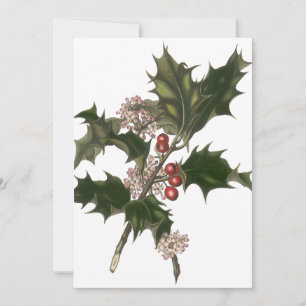 Invitation Noël vintage, plante de houx vert avec baies