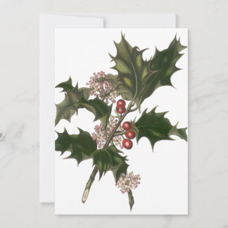 Invitation Noël vintage, plante de houx vert avec baies