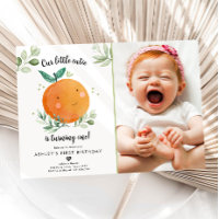 Notre Petite Cutie Clementine Orange Premier Anniv