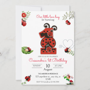 Invitation Notre Petite Dame Lady Bug 1ère fête d'anniversair