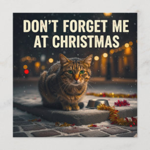 Invitation N'oubliez pas les chats à Noël image art