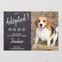 Nous avons adopté la nouvelle Pawty Chien Chien An