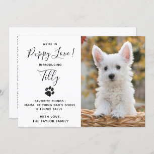Invitation Nouveau Pet Chien Chien Chien chiot Douche Party