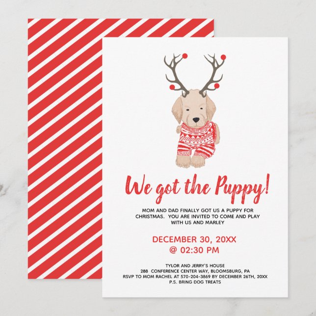 Invitation Nouvelle fête de Noël pour enfants avec un chiot p (Devant / Derrière)