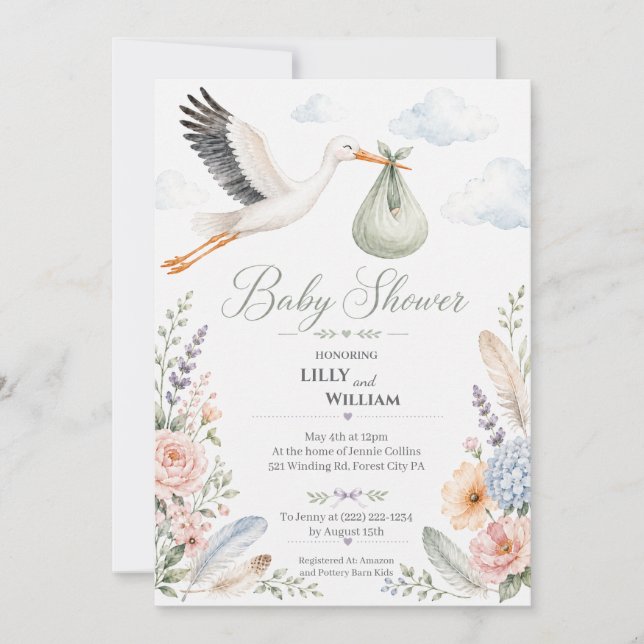 Invitation Nuage de Cigogne Fête de Bébé Vintage (Devant)
