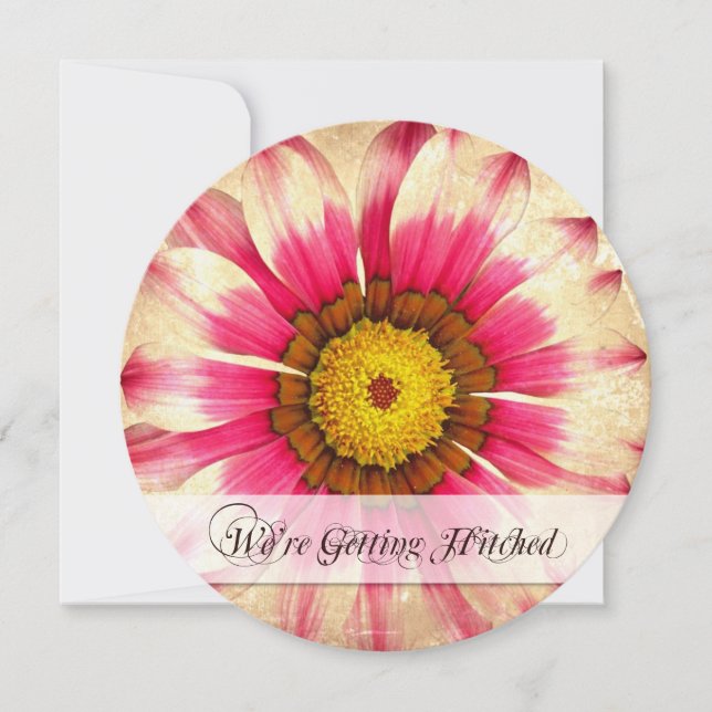 Invitation Obtenir Hitched Pink Daisy Round Wedding Invite (Devant)