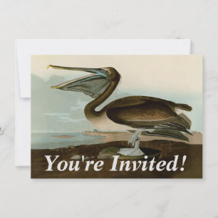 Invitation Œuvre d'art de Pélican Brun de John James Audubon 