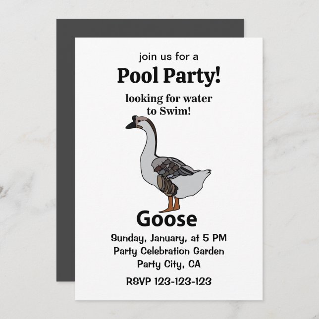 Invitation Oie À La Recherche D'Eau Pour Nager Oie Africaine (Devant / Derrière)