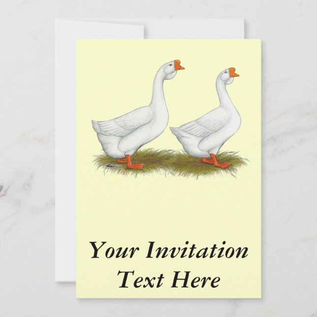 Invitation Oie blanche africaine (Devant)