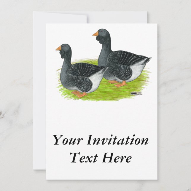 Invitation Oie de Toulouse Dewlap (Devant)