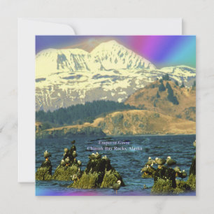 Invitation Oies empereur sur la baie Chiniak près de Chiniak,