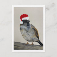 Oiseau d'hiver avec chapeau de Père Noël - Œuvre o