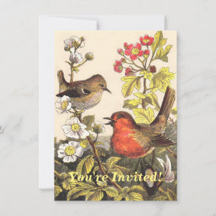 Invitation Oiseaux chanteurs Robin printanier vintage Botaniq