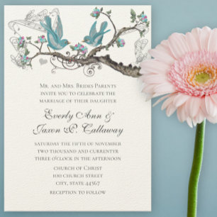 Invitation Oiseaux de l'amour vintage bleu aqua et rose Maria