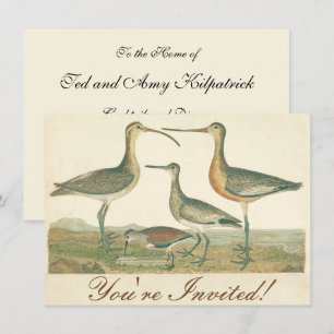 Invitation Oiseaux de marais Courlis Oiseaux