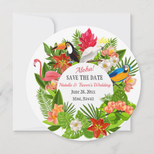 Invitation Oiseaux et Fleurs Tropicaux Annonce