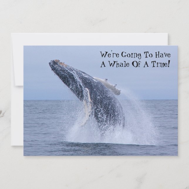Invitation On va avoir une baleine de temps !Invitation (Devant)