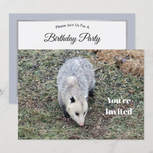 Invitation Opossum Photo Anniversaire