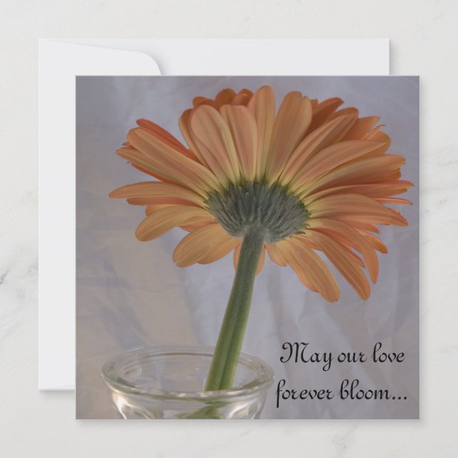 Invitation Orange Gerber Daisy Mariage (Devant)