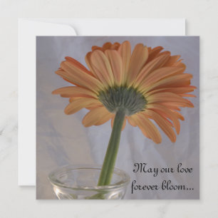 Invitation Orange Gerber Daisy Mariage