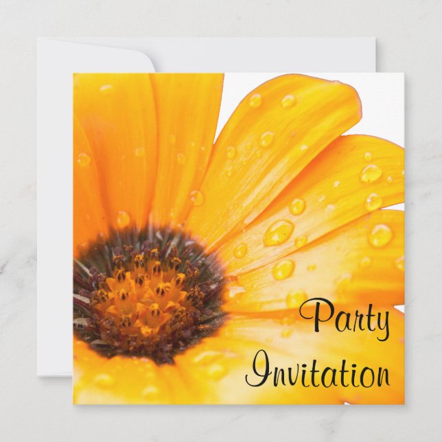 Invitation Orange Spring Flash African Daisy Photo (Devant)