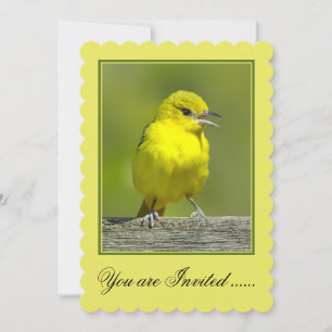 Invitation Orchard Oriole - Photo originale