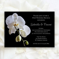 Orchidée blanche sur Black Post Mariage Brunch