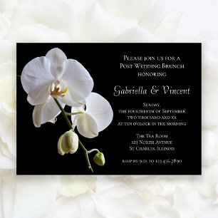 Invitation Orchidée blanche sur Black Post Mariage Brunch