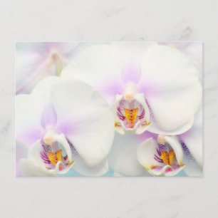Invitation Orchidées Blanches