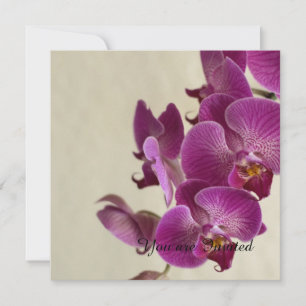 Invitation Orchidées roses Fleurs Anniversaire