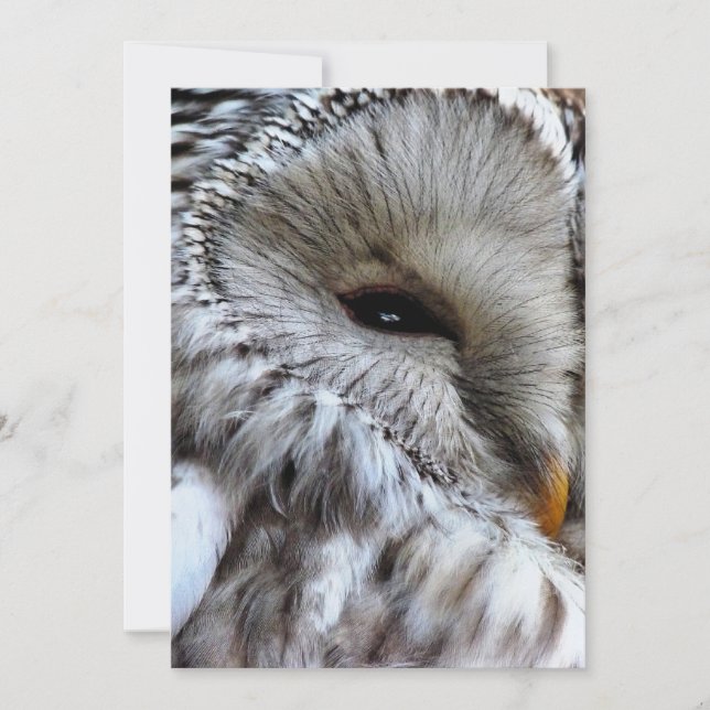 INVITATION OWLS (Devant)