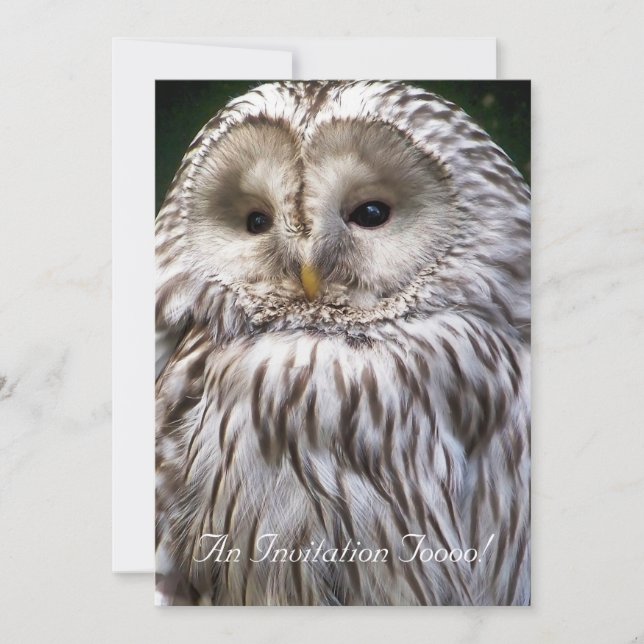 INVITATION OWLS (Devant)