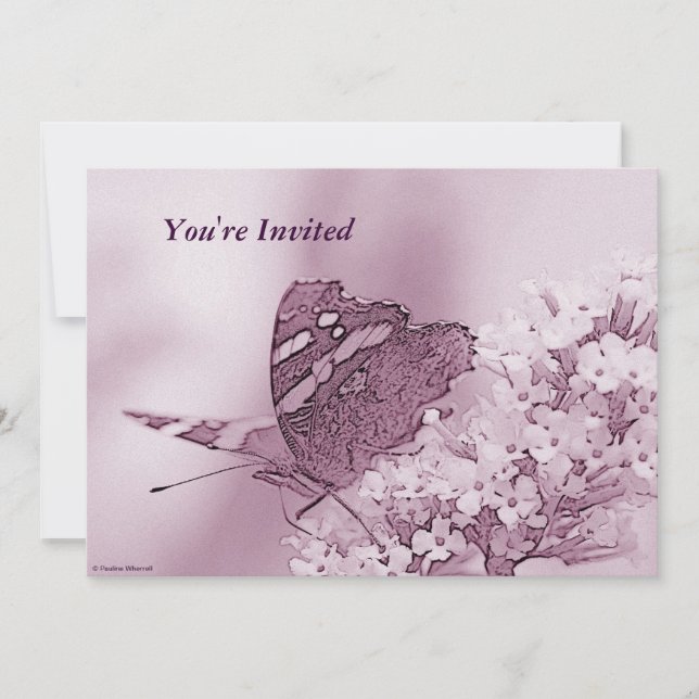 Invitation © P Wherrell Papillon contemporain sur buddleia (Devant)