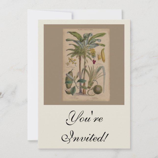 Invitation Palm Antique Fruit Tropical Art Botanique (Devant)