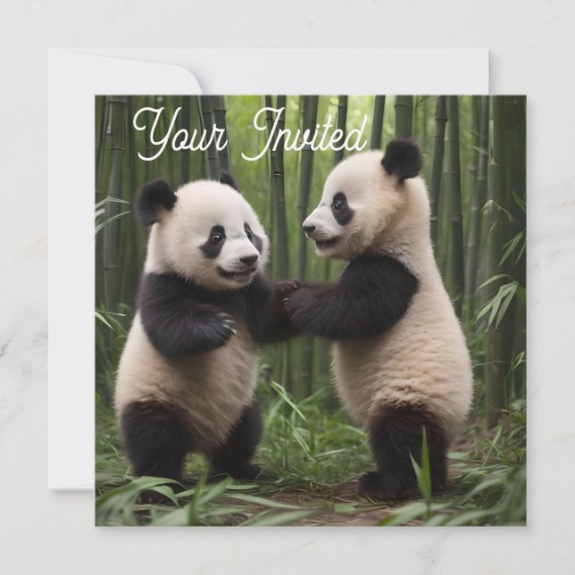 Invitation Pandas Bébés En Jeu Dans Une Forêt De Bambou, (Devant)