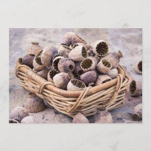 Invitation Panier de graines de pavot séché