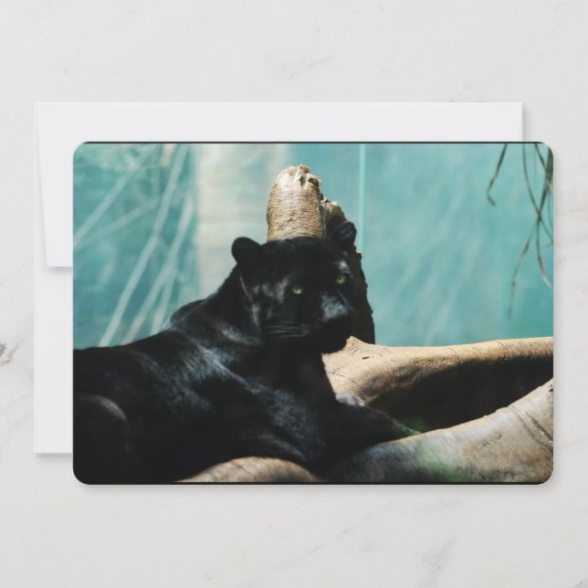 Invitation Panthère aux yeux percés (Devant)