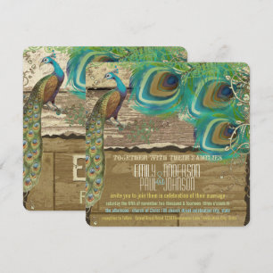 Invitation Paon de campagne délabré vintage 3 plumes vieux bo