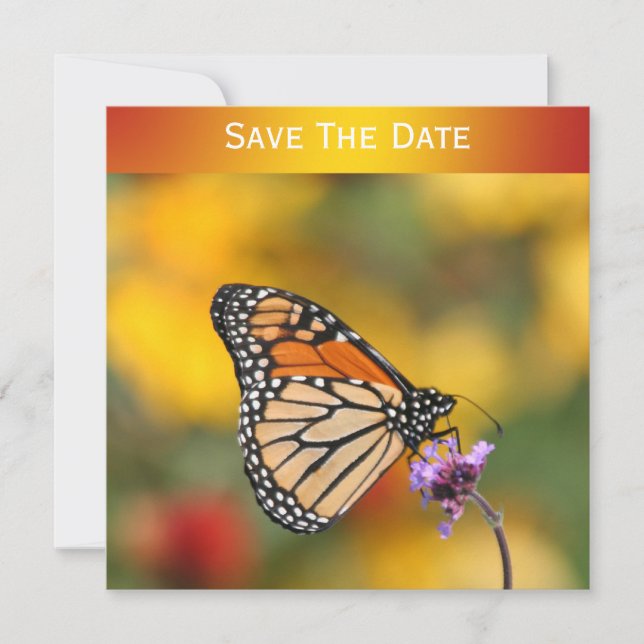 Invitation Papillon monarque à la recherche de pollen (Devant)