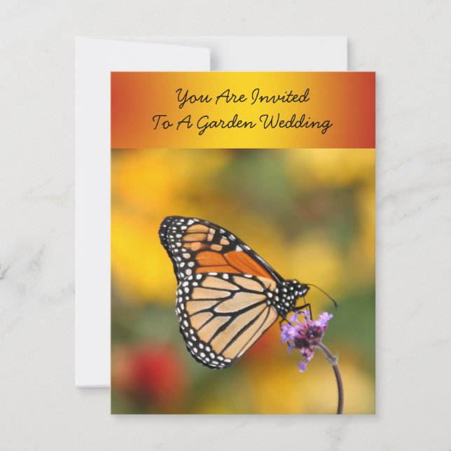 Invitation Papillon monarque à la recherche de pollen (Devant)