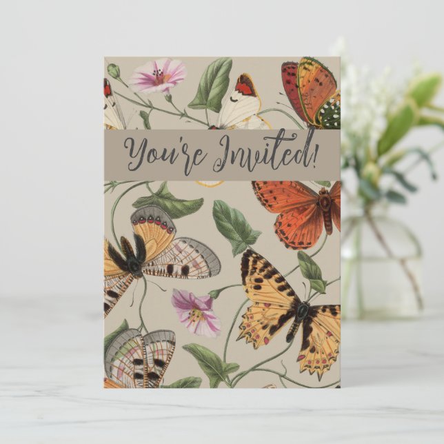 Invitation Papillon Moth Nature Collection Dessin (Debout devant)