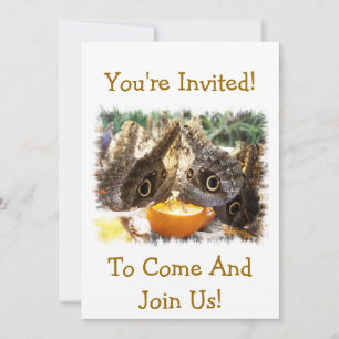 INVITATION PAPILLONS