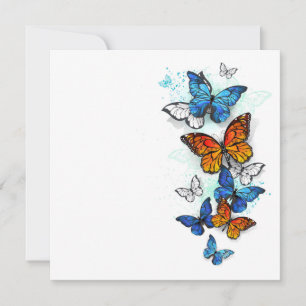 Invitation Papillons volants Morpho et Monarch