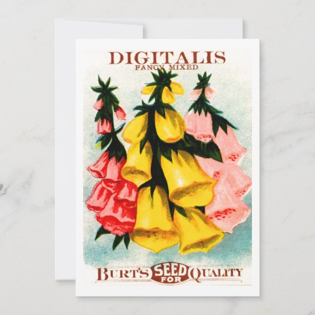 Invitation Paquet assorti de graine de digitale de digitale (Devant)