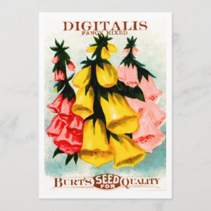 Invitation Paquet assorti de graine de digitale de digitale