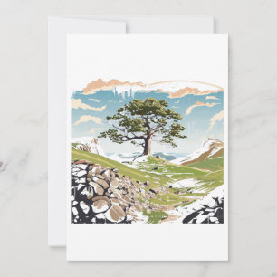 Invitation Parc national de Northumberland Sycamore Gap Tree