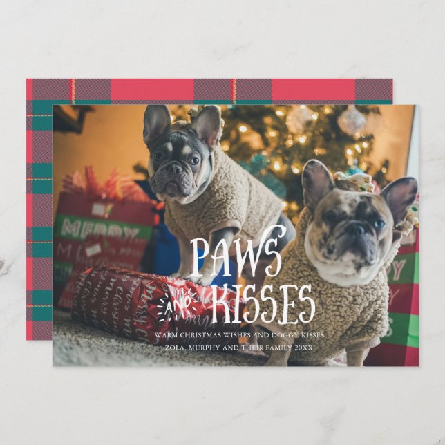 Invitation Pâtes et baisers Silly Pet Photo Holiday Card (Devant / Derrière)