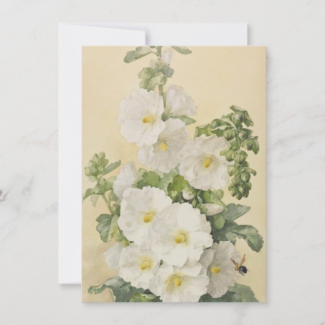 Invitation Paul De Longpre - Hollyhocks 1901 (Devant)